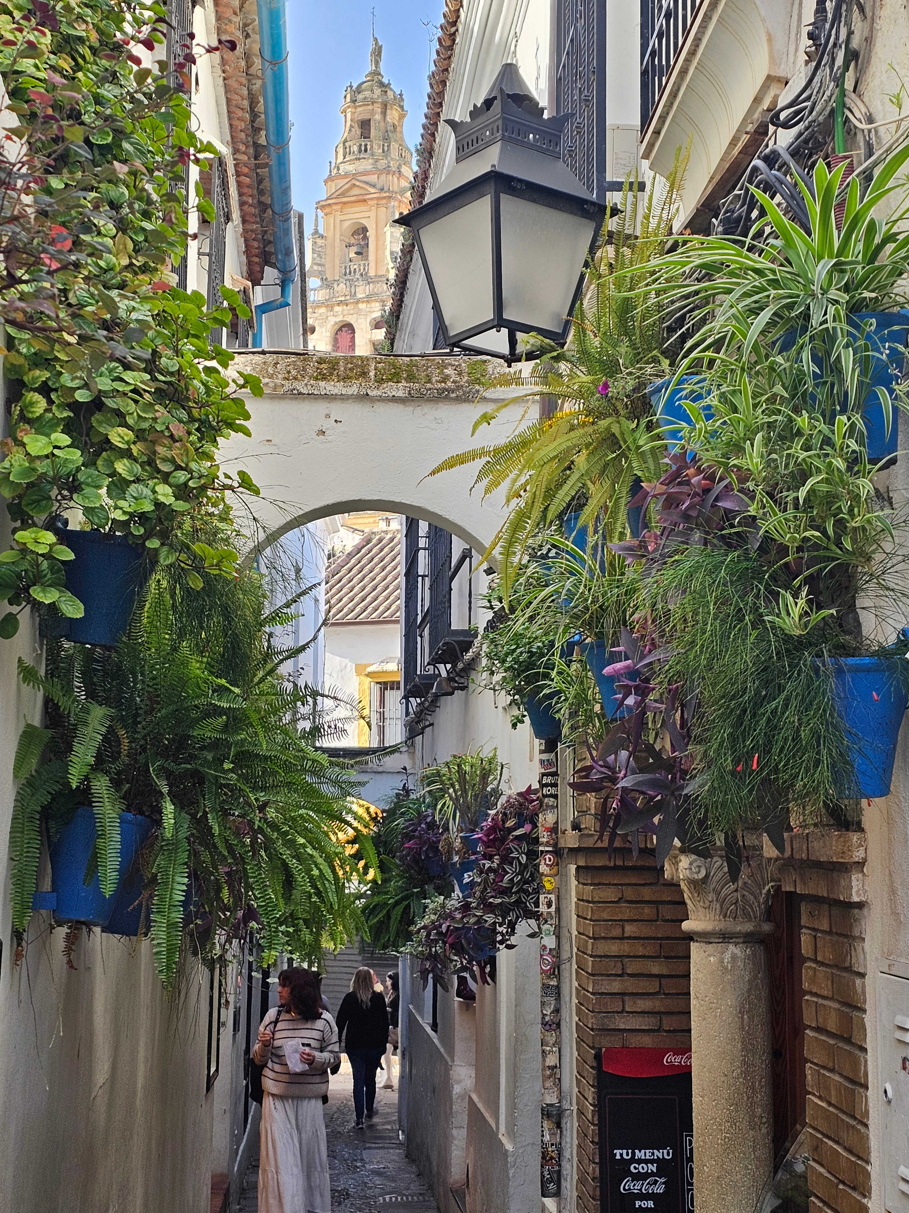 S_Spain